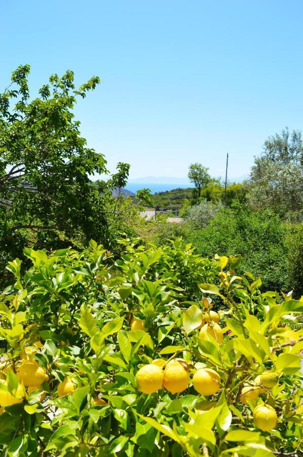 Alikias Country House Panormos  ภายนอก รูปภาพ
