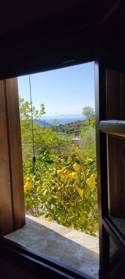 Alikias Country House Panormos  ภายนอก รูปภาพ