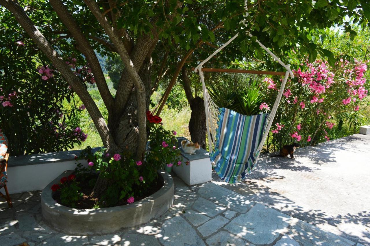 Alikias Country House Panormos  ภายนอก รูปภาพ