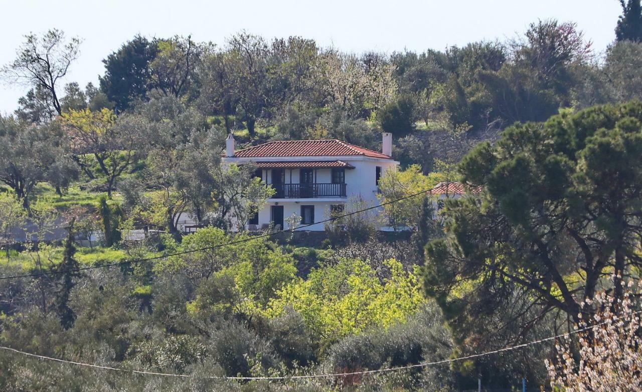Alikias Country House Panormos  ภายนอก รูปภาพ